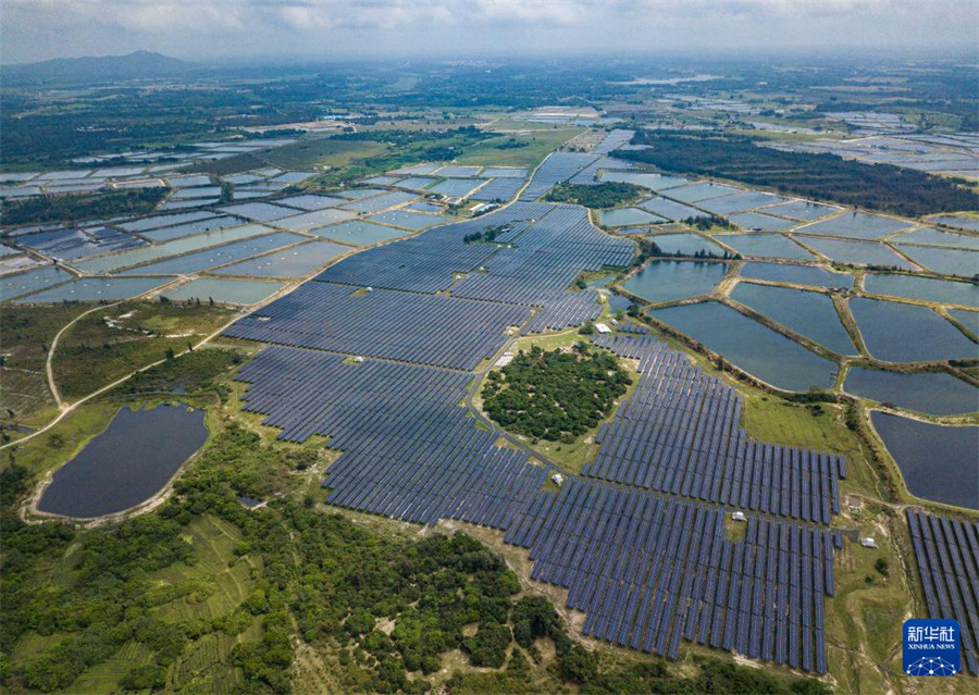 アルカリ性土壌で太陽光発電、パネル下で野菜を栽培　海南省文昌市