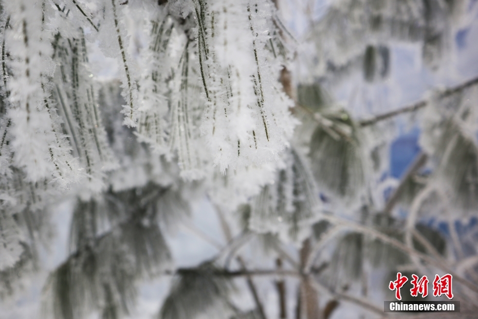 四季を通じて霧氷を楽しむ？氷雪ツアー人気の維持をバックアップするハイテクの力　吉林省