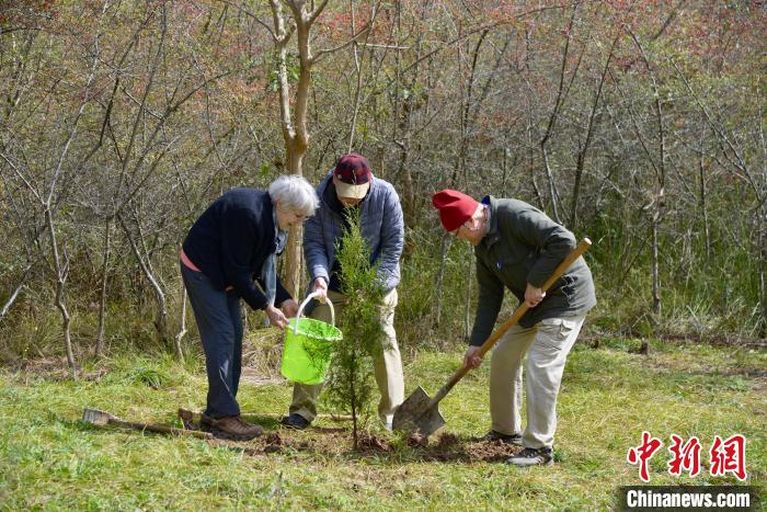 友人と共に「剣門蜀道」で植樹するジャストマンさん(寫真一番左、3月18日撮影?苗志勇)。