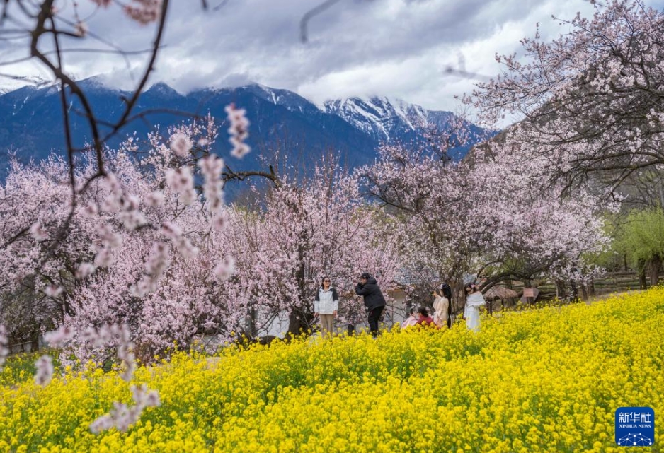 林芝市巴宜區(qū)嘎拉村で、記念寫真を撮影する観光客（3月31日撮影?孫非）