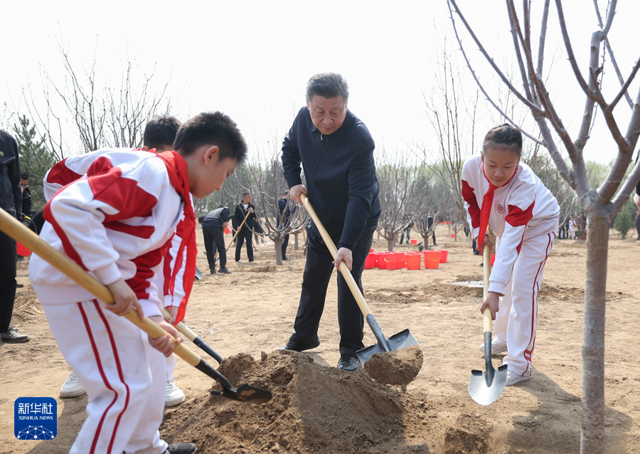 習(xí)近平総書記が首都ボランティア植樹活動(dòng)に參加　「美しい中國(guó)を共に築く」