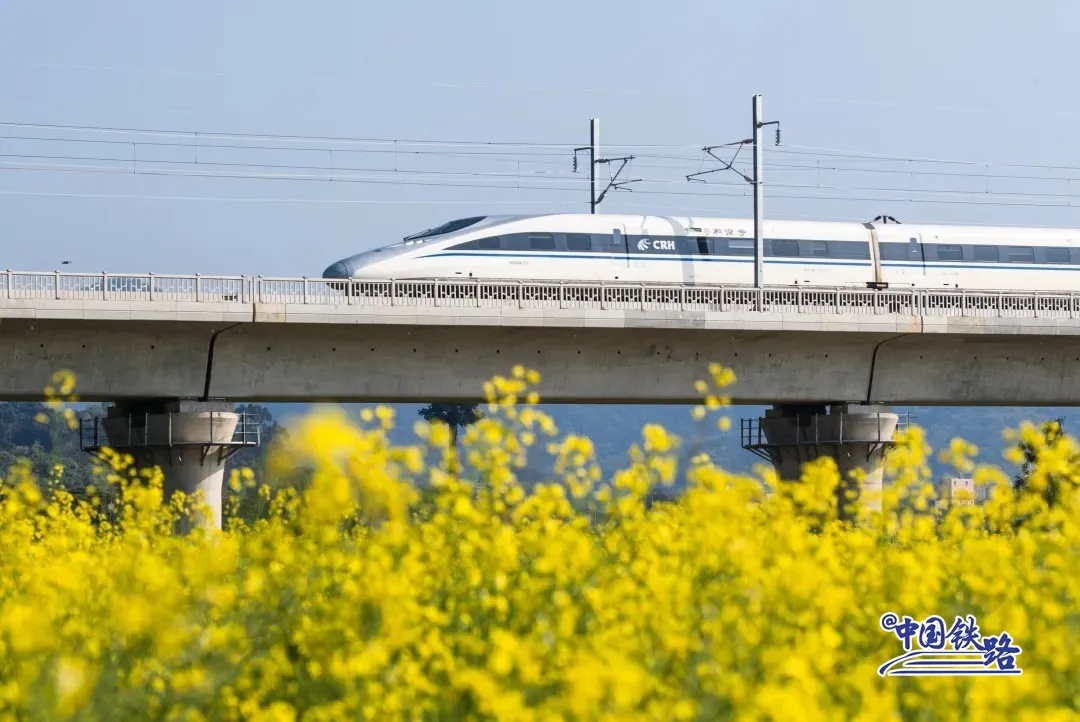 贛深高速列車が深セン市の光明歓楽田園地帯を走る様子。（撮影?李文豪）