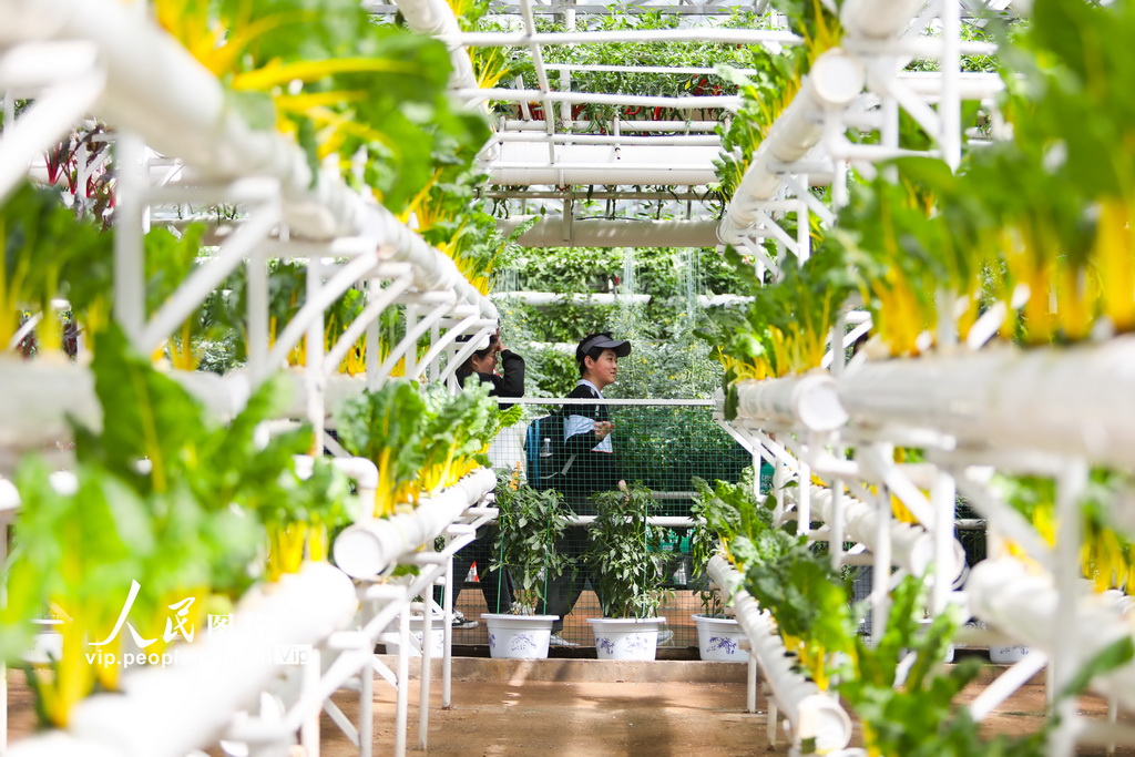 第25回中國（壽光）國際野菜科學(xué)技術(shù)博覧會が開幕　山東省