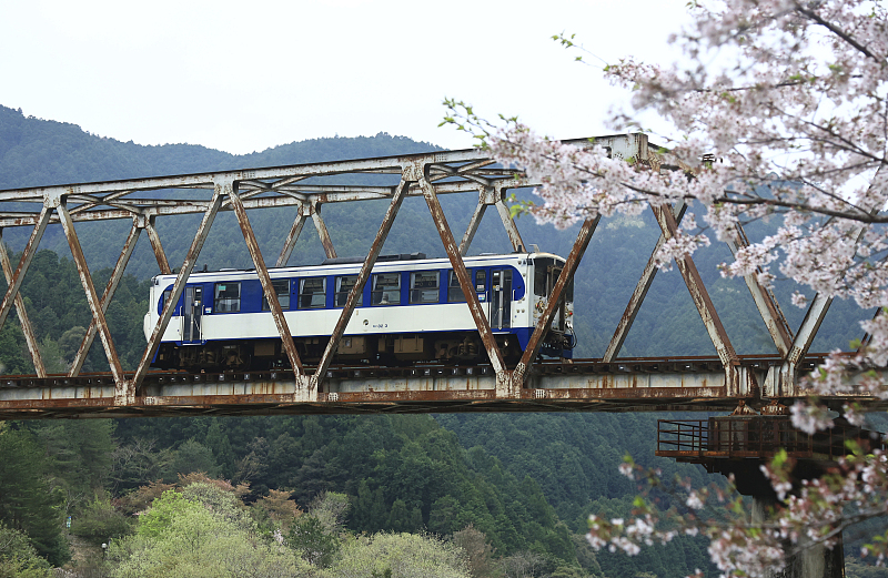 （畫像著作権はCFP視覚中國所有のため転載禁止） 