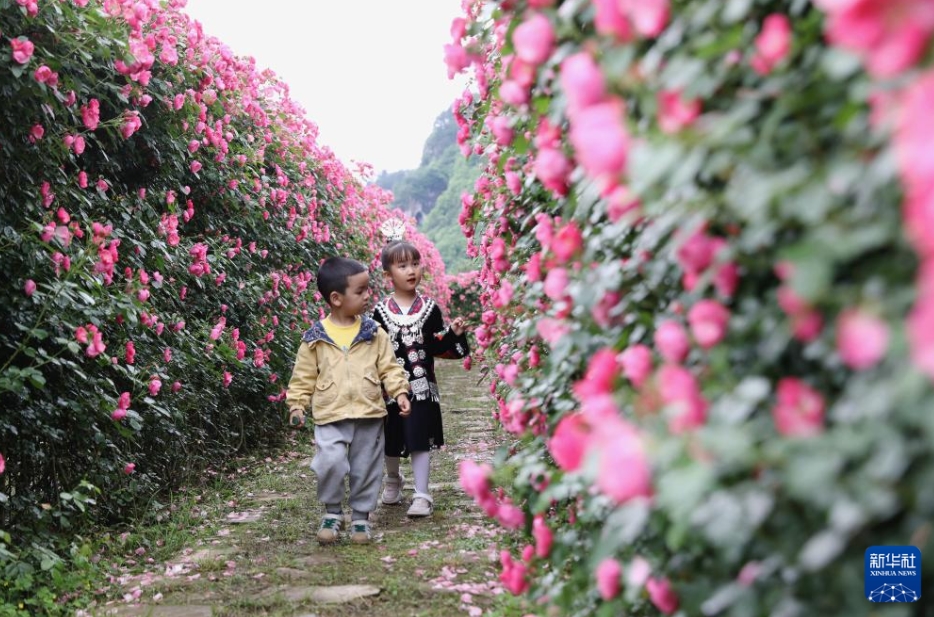 美しい春を楽しむ　中國各地の春景色