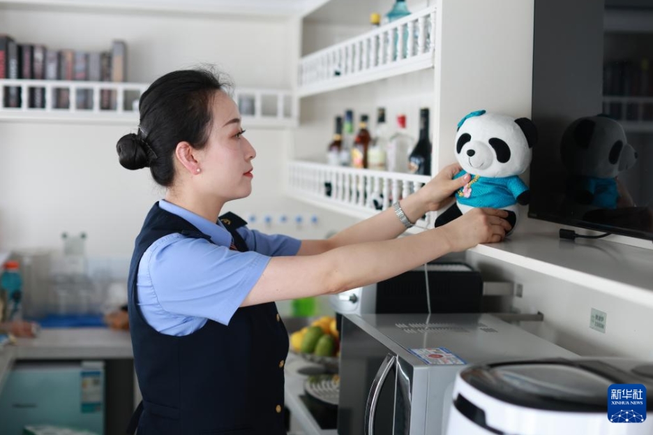 中國(guó)-ラオス観光列車「パンダ特別列車」の運(yùn)行開始　貴州省