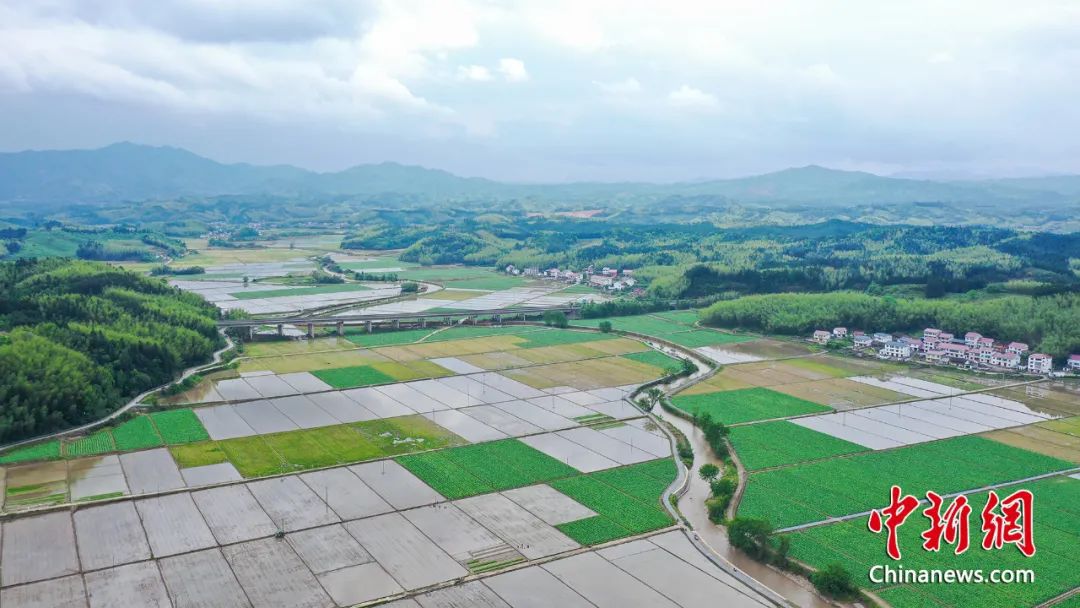 建寧県渓口鎮(zhèn)楓元村に広がる水田。撮影?陳震