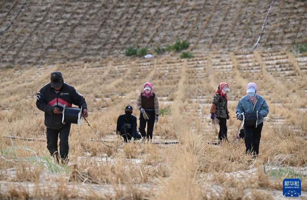 様々な手段を駆使して総合的防砂に取り組む科爾沁砂地　內(nèi)蒙古