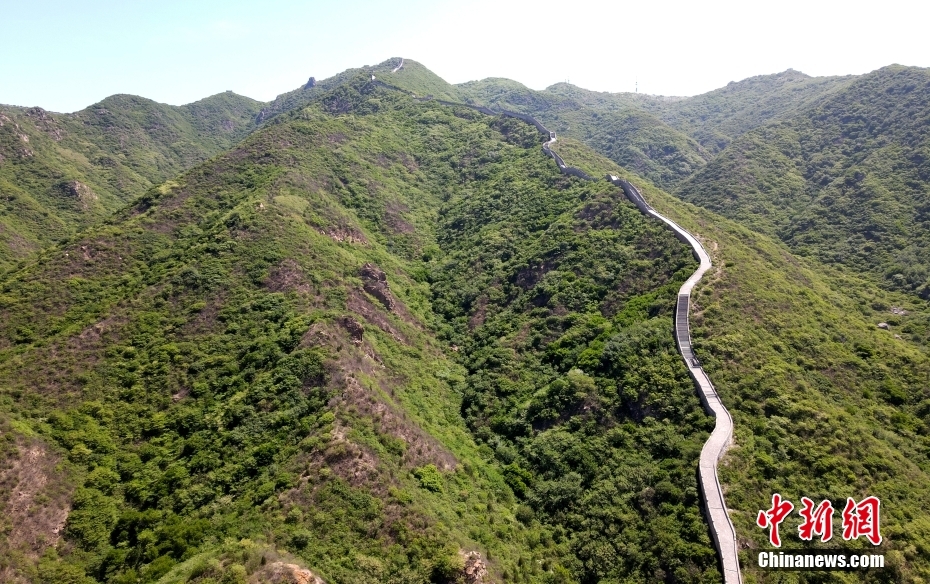 花家窯長城（5月17日撮影?張宇）。