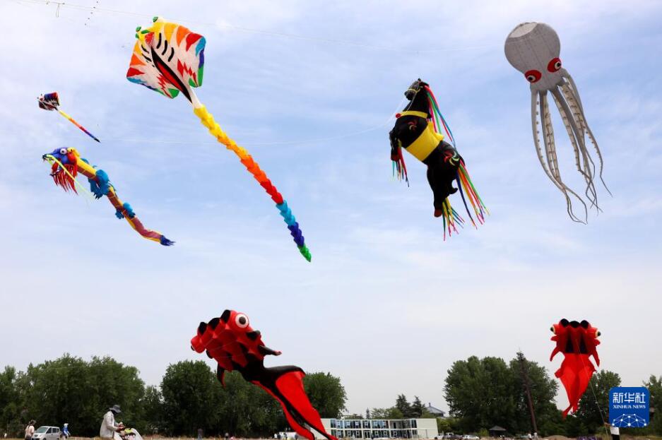 「凧揚(yáng)げオープン大會(huì)」會(huì)場で空にあげられた様々なデザインの凧（6月2日撮影?孫中喆）。