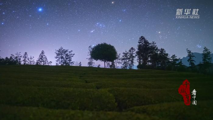 木耳山茶園でロマンチックな星空を眺めよう！　湖北省