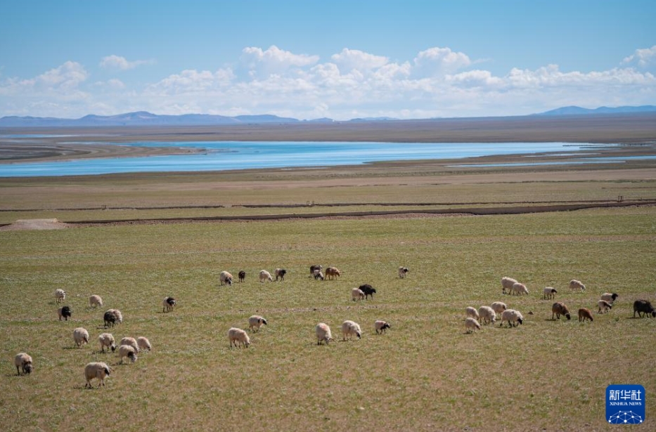 西蔵自治區(qū)最大の湖「色林錯」の夏景色