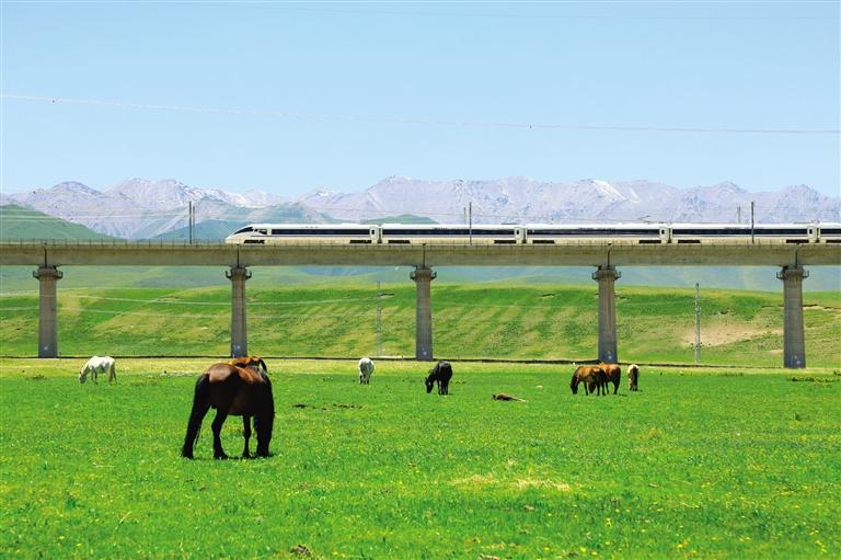 山丹軍用馬牧場(chǎng)を通過する高速列車（撮影?徐凌波）。