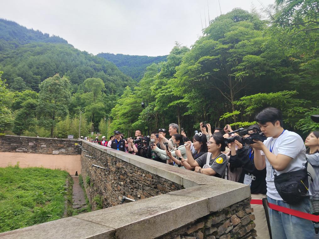 韓國の四川旅行ブームに火をつけたパンダ「福寶」