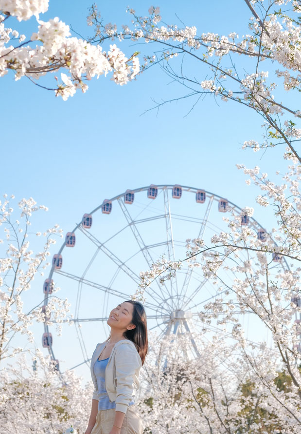 桜色の観覧車