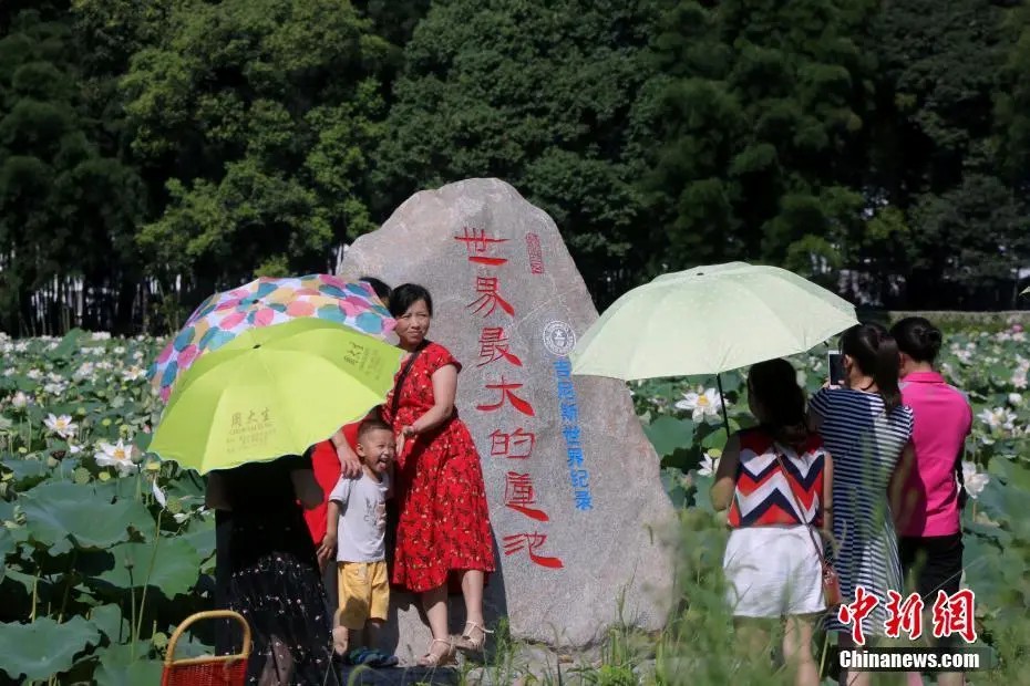 広昌県驛前鎮(zhèn)姚西村景勝地の「世界最大面積の蓮池」で記念撮影する観光客（撮影?任海霞）。