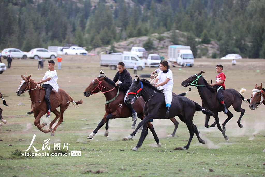 疾走する馬がカッコイイ！競馬イベントで盛り上がる新疆?阿勒泰