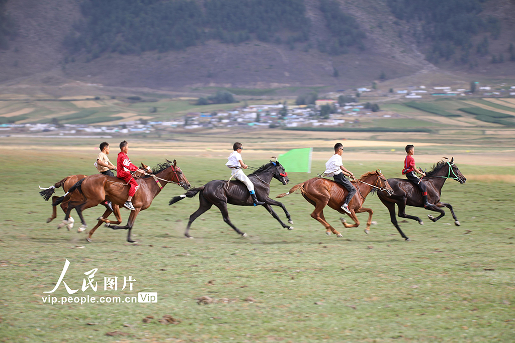 疾走する馬がカッコイイ！競馬イベントで盛り上がる新疆?阿勒泰