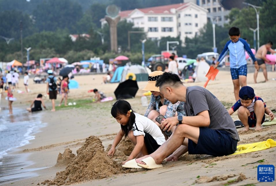 海洋生態(tài)系の修復で海岸沿いに広がる「グリーンベルト」　山東省