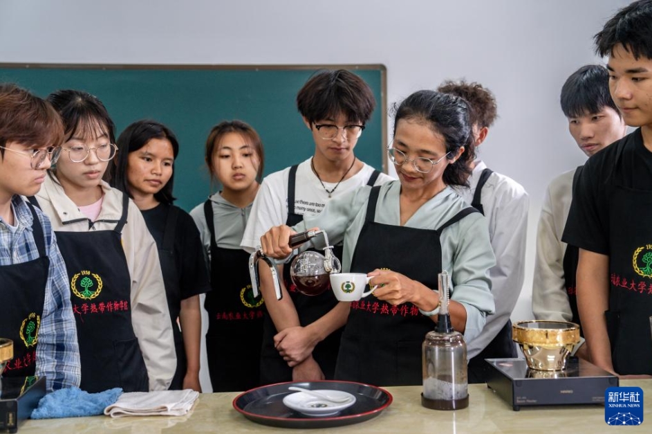 コーヒーを飲むのが授業(yè)！中國初のコーヒー學科の授業(yè)スタート　雲(yún)南省