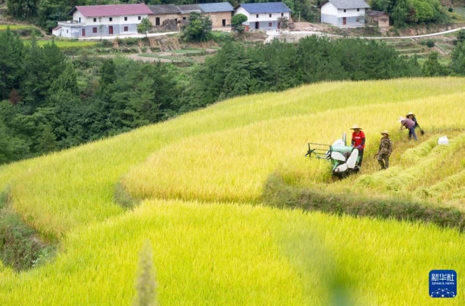 彩り豊かな中國(guó)各地の実りの秋