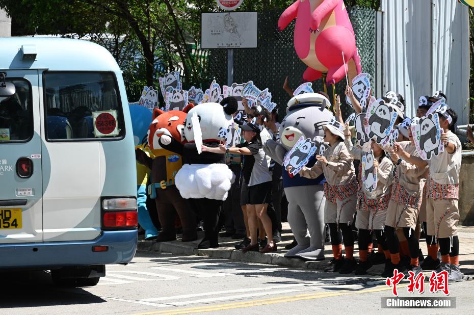 中央政府から贈られた3ペア目となるパンダが香港海洋公園に到著