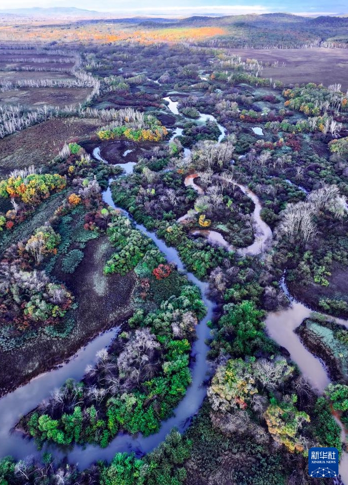 黒竜江省虎林市にある東方紅濕地國家級自然保護(hù)區(qū)の秋景色（9月26日、パノラマ撮影?盛景利）。