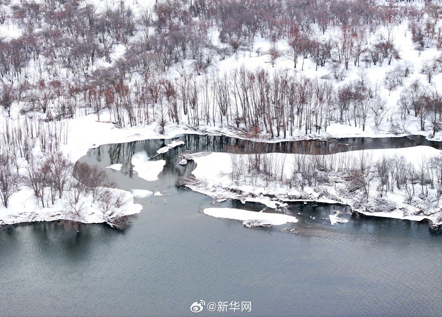 雪化粧した幻想的な額爾古納濕地　內(nèi)蒙古