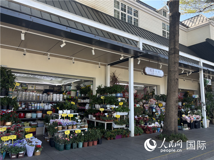 オランダフラワータウンに並ぶ店舗。（撮影?曹欣悅）