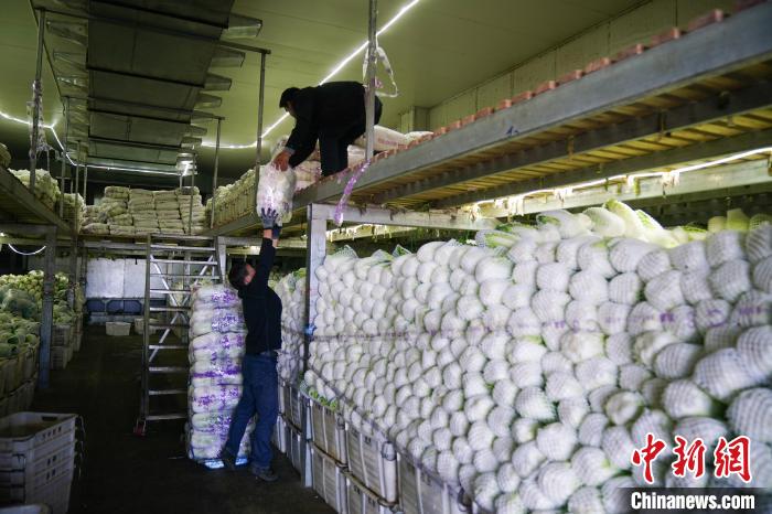 中國-ラオス鉄道で東南アジアの食卓へ運ばれる通海県の野菜　雲(yún)南省