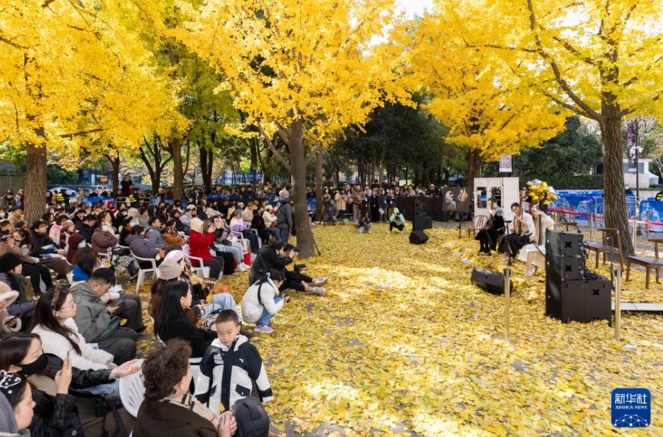 「イチョウ音楽會」の會場（12月8日撮影?王翔）。