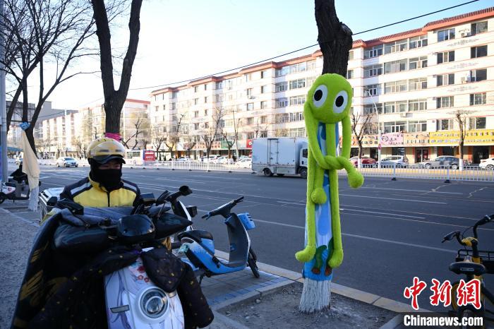 カラフルな冬の裝いとなった街路樹　內(nèi)蒙古呼和浩特