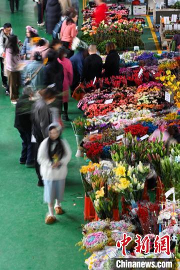 昆明斗南花卉市場(chǎng)で元旦に飾る花の売れ行きが好調(diào)に　雲(yún)南省