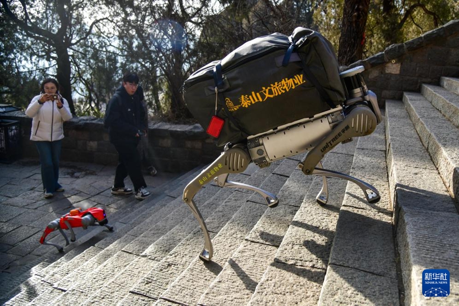 泰山でロボット犬の第2回運(yùn)用テストを?qū)g施　山東省