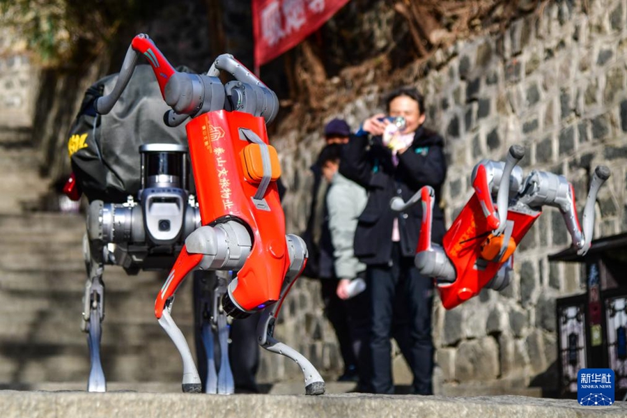 泰山でロボット犬の第2回運(yùn)用テストを?qū)g施　山東省