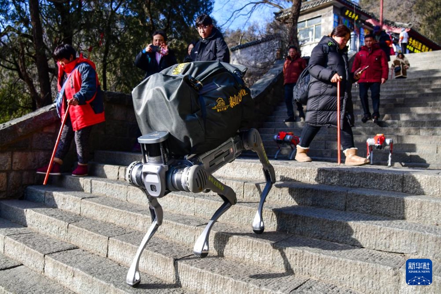 泰山でロボット犬の第2回運(yùn)用テストを?qū)g施　山東省