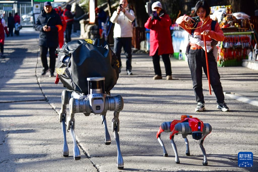 泰山でロボット犬の第2回運(yùn)用テストを?qū)g施　山東省