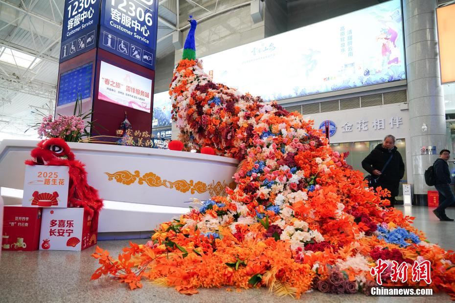 雲(yún)南省昆明駅にゴージャスな花のクジャク　春節(jié)祝賀ムード高める