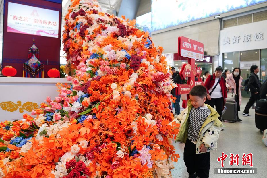 雲(yún)南省昆明駅にゴージャスな花のクジャク　春節(jié)祝賀ムード高める