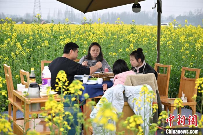 菜の花畑で食べる火鍋は春の味？　四川省成都