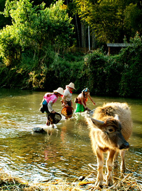 養(yǎng)生の天國