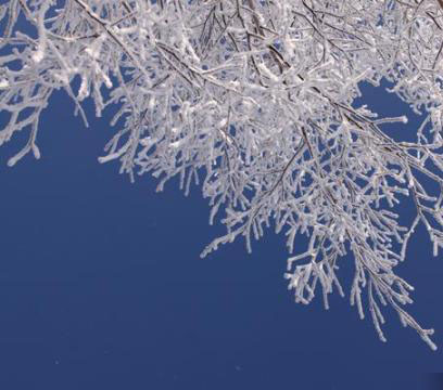 新疆?アルタイ　雪の後の樹(shù)氷の風(fēng)景